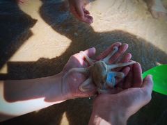 -阿弟特色海鲜餐厅·大排档(平潭店)