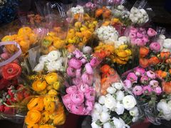 -循礼门鲜花花市(武汉循礼门店)