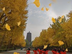 -玲珑塔公园