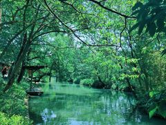 -西溪国家湿地公园