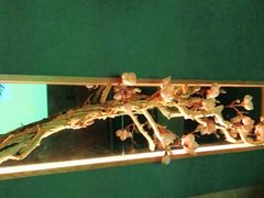 -大桶大足浴(广灵店)