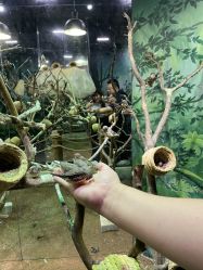 -Zoolung Zoolung动物主题公园(海信广场店)