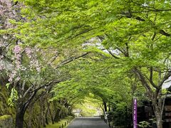 -三千院