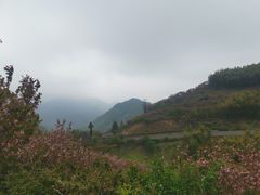 -好兄弟郭巨海鲜(天一阁店)