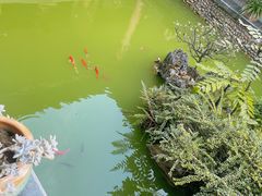-乖乖佳花园山庄·私房菜(阿哈湖公园店)