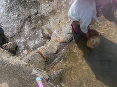 -罗田大别山峡谷漂流