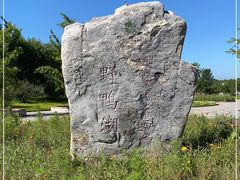 -野鸭湖国家湿地公园