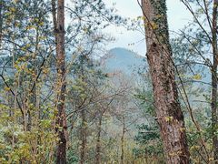 -天台山赤城山景区