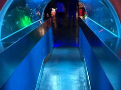 -石家庄海洋公园