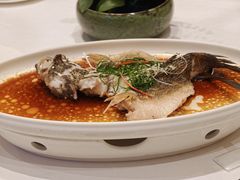 -金粤九号(李公堤店)