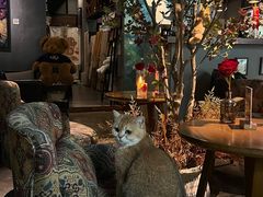 -咖法森林·咖啡  酒吧(天河店)