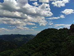 -大岭沟猕猴桃谷风景区