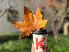 -肯德基(洛川店)