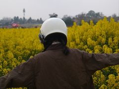 -三圣花乡旅游区