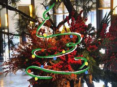 -新荣记(西溪湿地店)