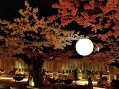 -蓝鲸湾汤泉(包河店)