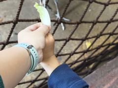 -长鹿旅游休博园