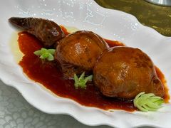 -丁老爷子苏香圆