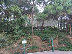 -芦仙山景区-飞越丛林探险乐园