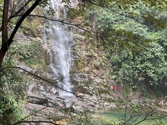 -鼎湖山风景区