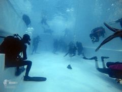 -上海潜殿潜水中心