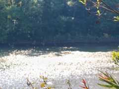 -东莞市大岭山森林公园