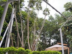 -碧水湾温泉