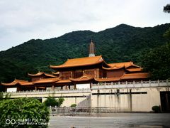 -深圳仙湖植物园