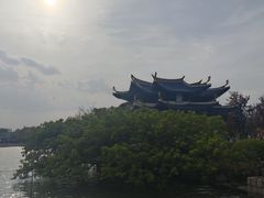 -江心屿景区