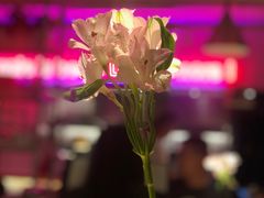 -幸薈飯堂