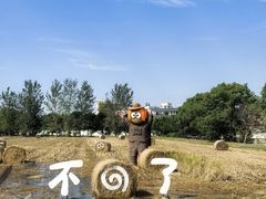-嘉北郊野公园