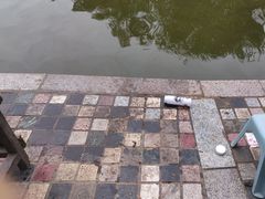 -酷鱼垂钓CLUB(朝阳区博大路店 )