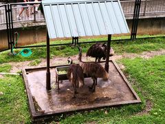 -吉隆坡雀鸟公园