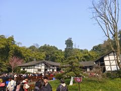 -邓小平故里