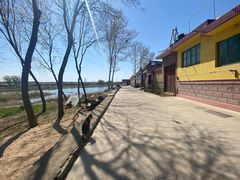 -莱阳濯村樱花园