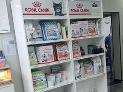 -东莞宠友24H宠物中心医院·转诊夜诊·异宠(新河北路院)
