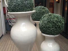 -EATALIA意塔利意式餐厅(鼓楼店)