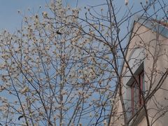 -颐和路民国时期公馆-风貌区