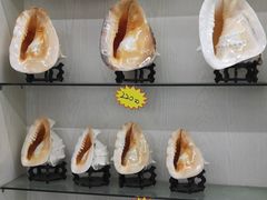 -青岛特产旗舰店·崂山茶