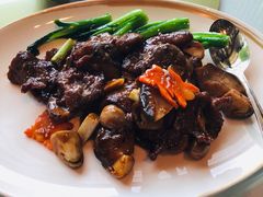 -金轩中餐厅 Jin Xuan(浦东丽思卡尔顿酒店)
