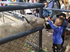 -长白岛森林公园