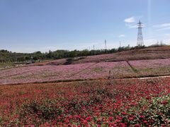 -六合国家地质公园桂子山景区