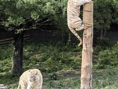 -宁波野生动物园