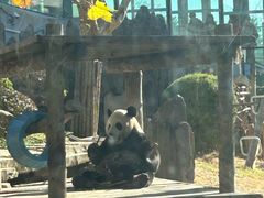 -大连森林动物园