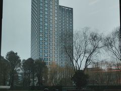 -苏州洲际酒店·大堂酒廊