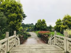 -张坝桂圆林公园