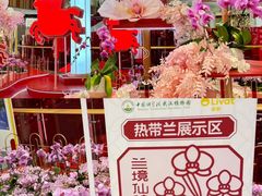 -武汉荟聚