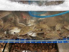 -蟹谢蒸鲜自助餐厅