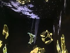 -狐尾山公园
