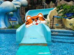 -重庆海昌加勒比海水世界